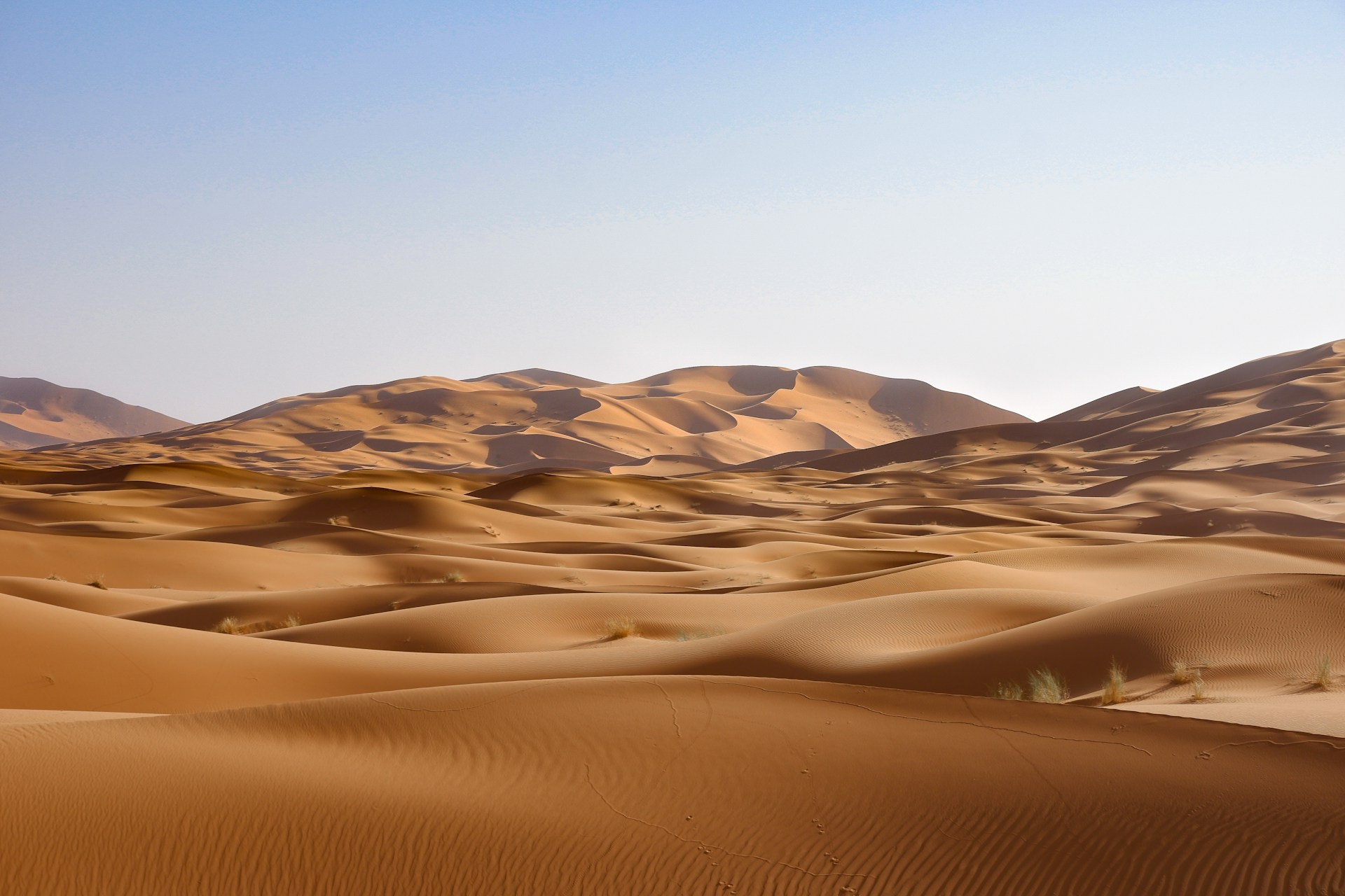 Dunas del Sahara